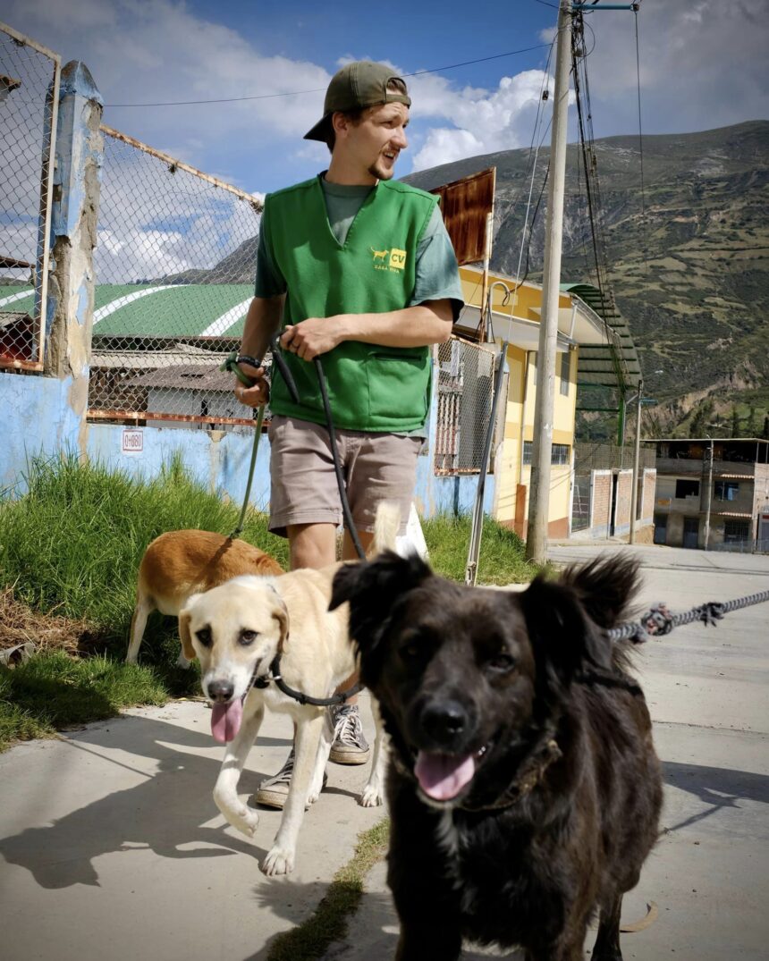 355115283_269449305739586_1901238007276481002_n 10 Ways to Engage Your Dog Indoors